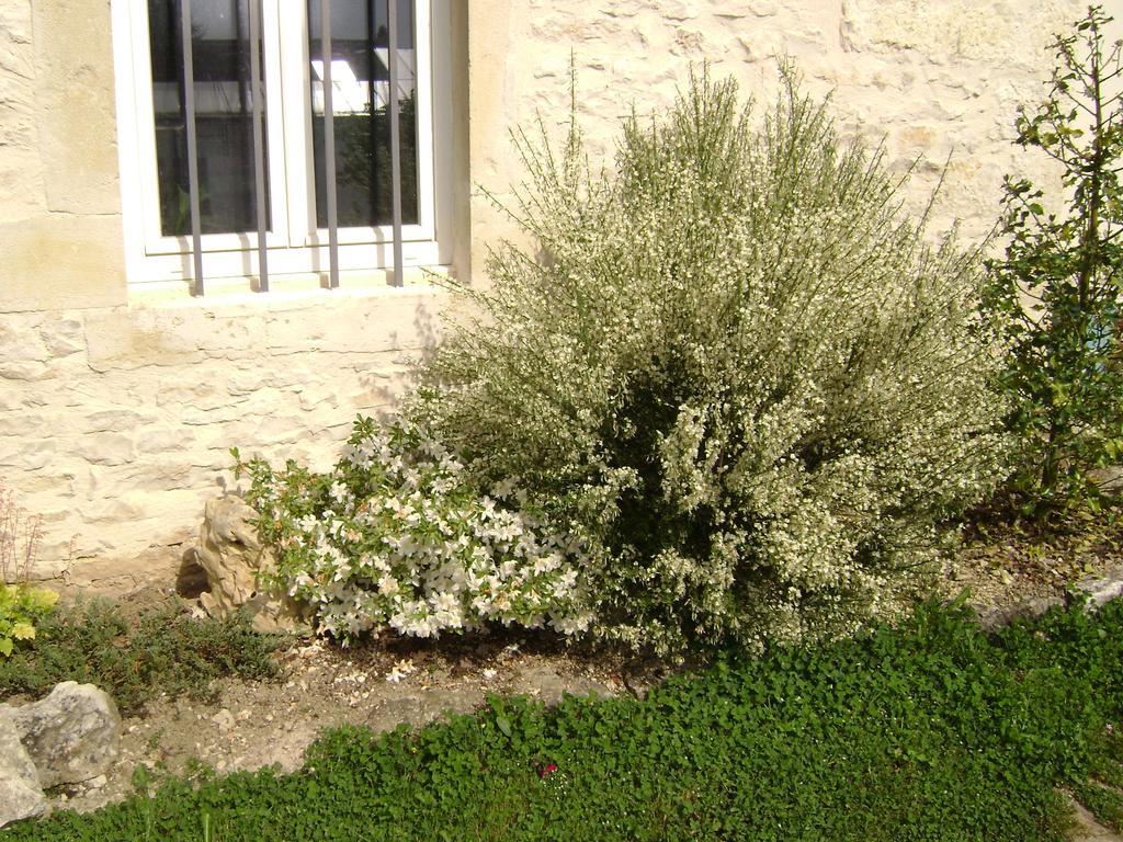 Les Petunias Hugier Exterior foto